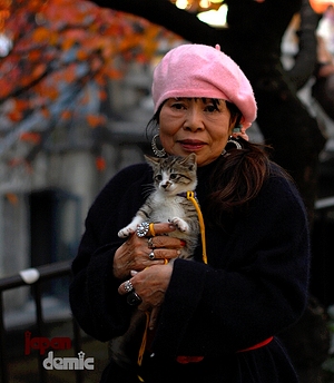 kitty-in-bag-portrait300